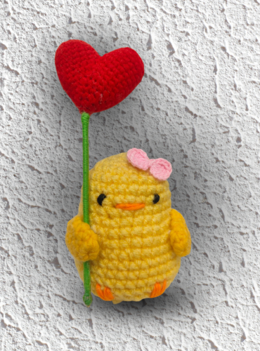 crochet pillu